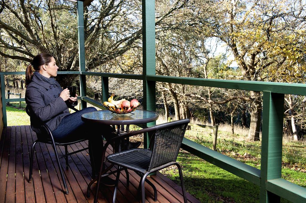 Lakes And Craters Holiday Park キャンパーダウン 部屋 写真